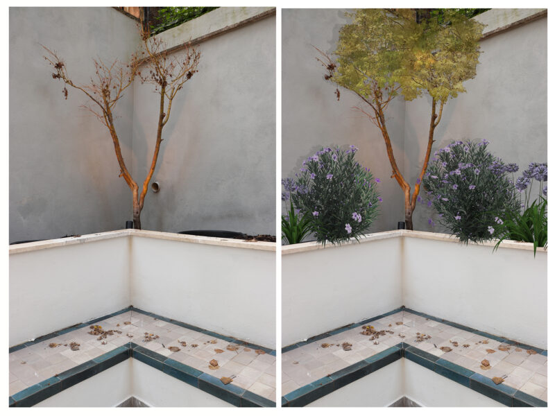 Ristrutturazione di un piccolo appartamento con giardino